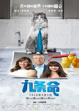 在张琪的律所，他们亲眼目睹了一幕幕令人心碎的现实。
