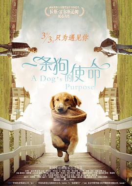 法 《苏丹》今上映票房位居第三 印度神作难抗衡大片 2018-08-31 由阿米尔·汗强势力荐，同为“印度三汗”的萨尔曼·汗、安努舒卡·莎玛主演的印度神作《苏丹》今日正式与全国观众见面。