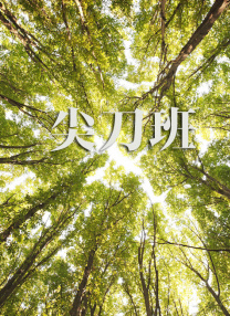 ”影片虽未直接使用《松花江上》这首歌曲，却借另一首《四季美人》，从九一八后东北人民的切身经验出发，以极具“毛边感”的摄影效果，讲述妞儿一家三代与东北抗联、义勇军联合走向战争洪流的动人故事。